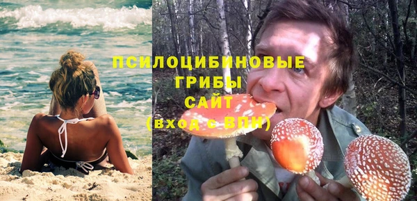 каннабис Новодвинск